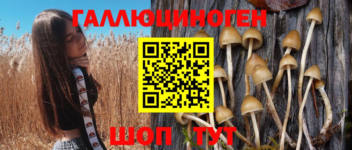 Городец  Галлюциногенные грибы Magic Shrooms  Вход с VPN  Галлюциногенные грибы Magic Shrooms 